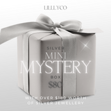 Lillyco Mystery Box | Ladies Jewellery | Mini Silver