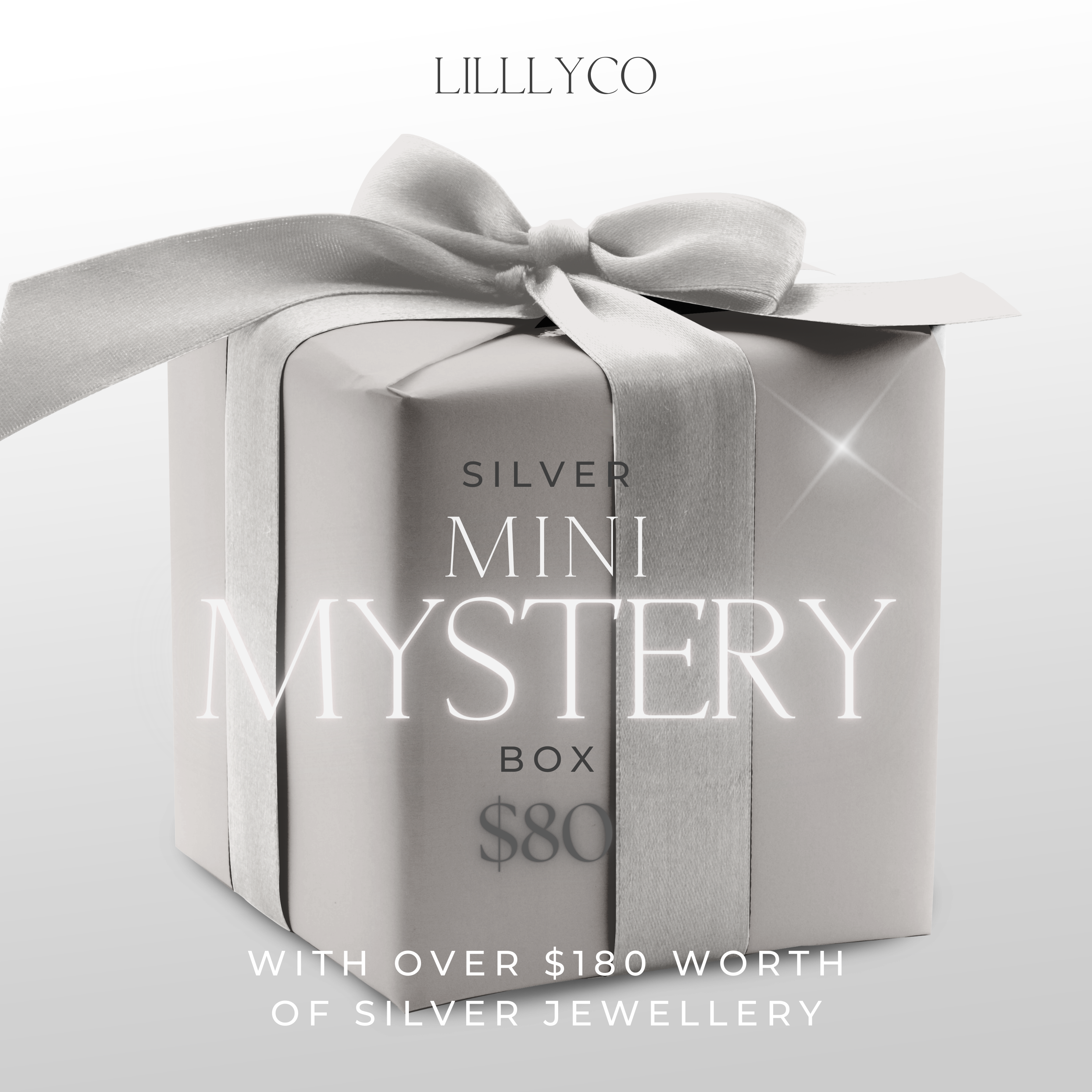 Lillyco Mystery Box | Ladies Jewellery | Mini Silver
